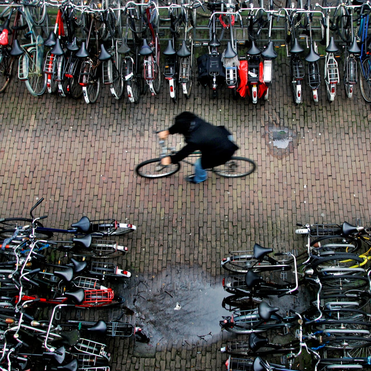 Fostering Bicycle Safety for Human and Planetary Well-Being