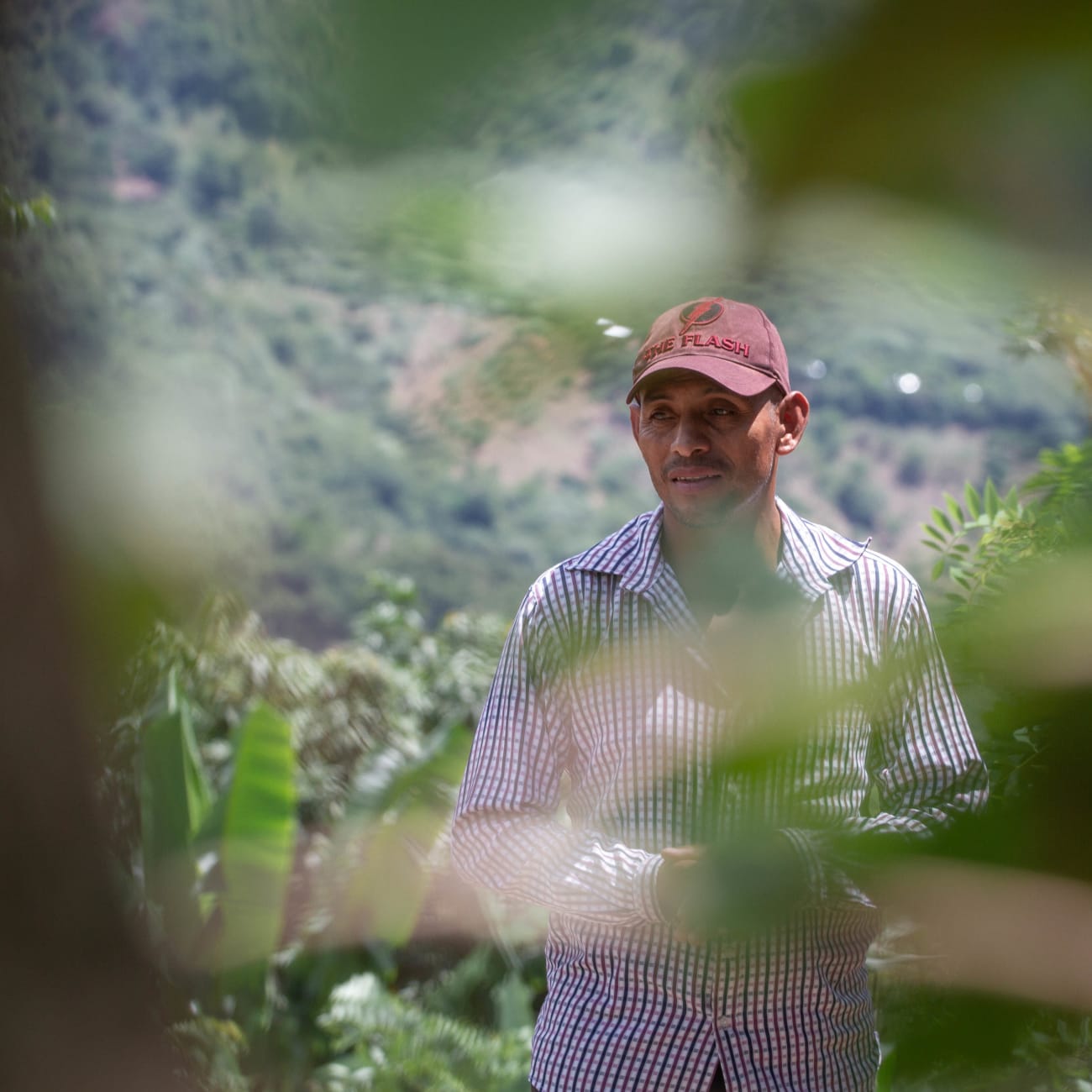 A Mayan Farming Technique to Fight Guatemala&#039;s Food Insecurity