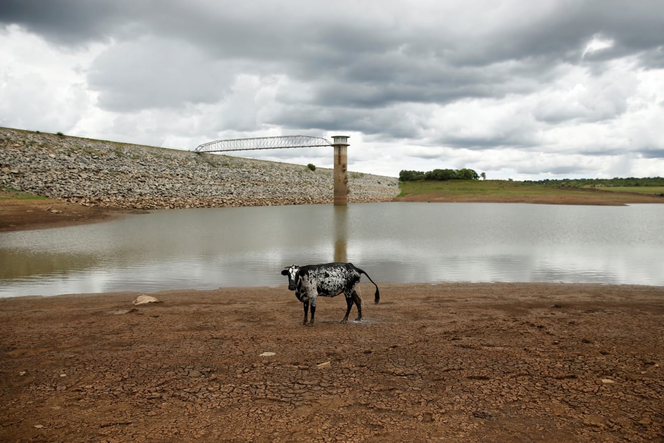 Climate Change and Health