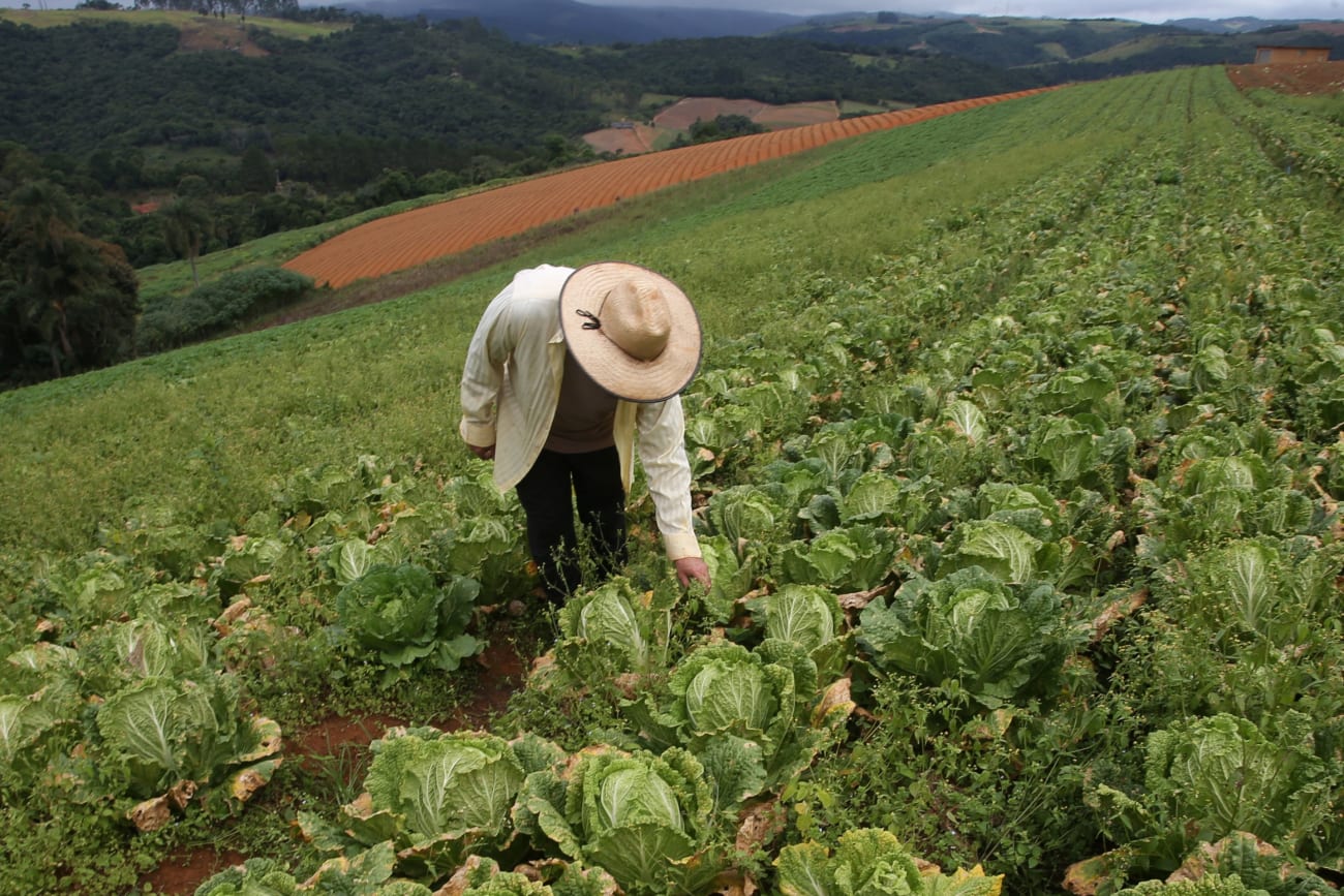 What Brazil's "Poison Package" Means for Global Food Supplies