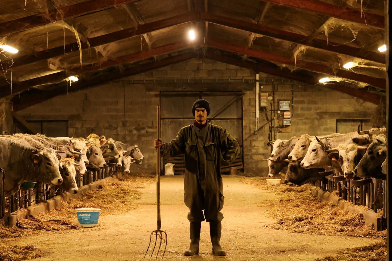 Polarization Threatens Food Security and Systems Globally