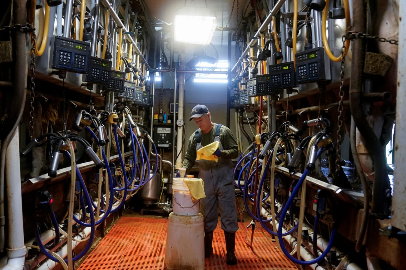 Bird Flu, U.S. Cows, and Economic Consequences