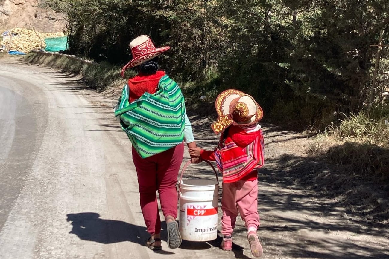 Intimate Partner Violence in Peru