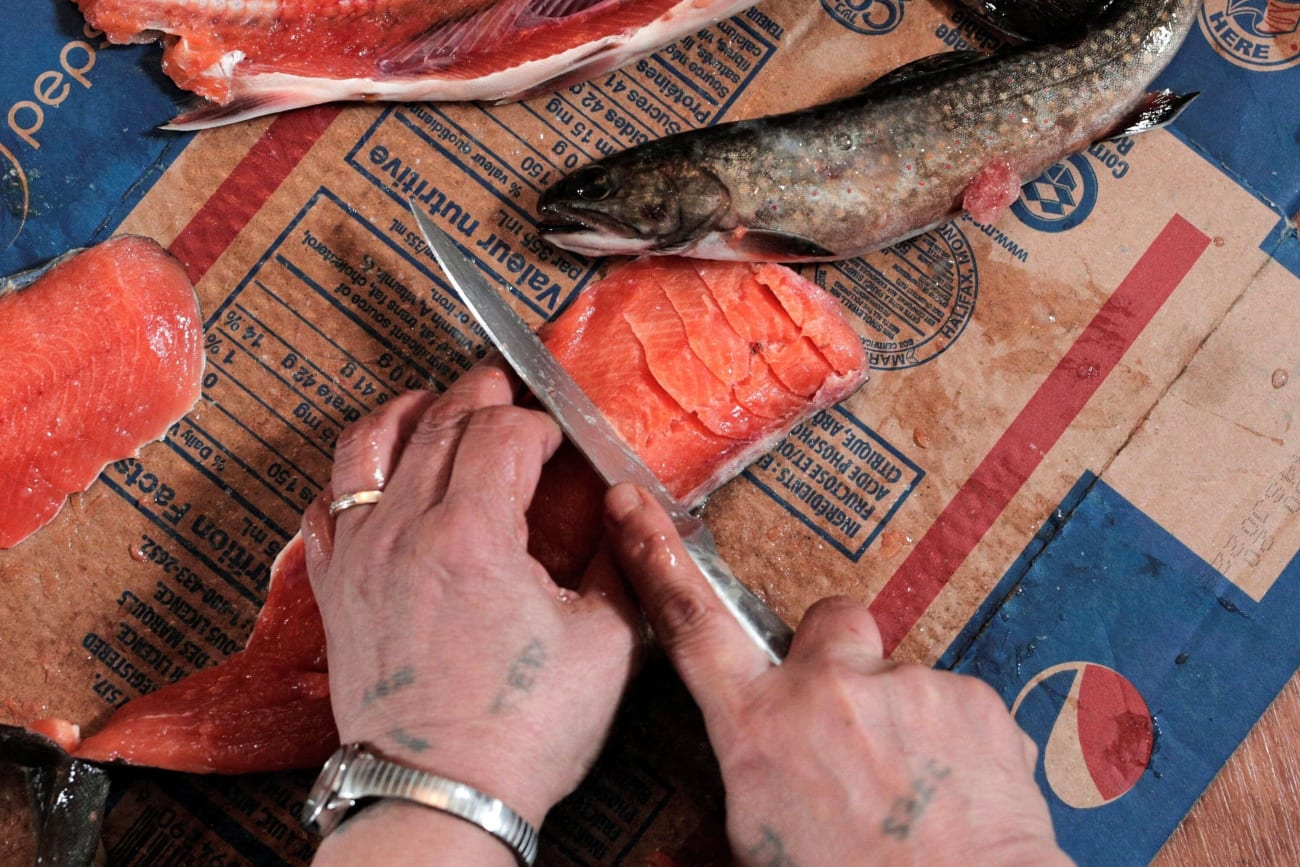 Survival, Subsistence, and Food Sovereignty in Alaska