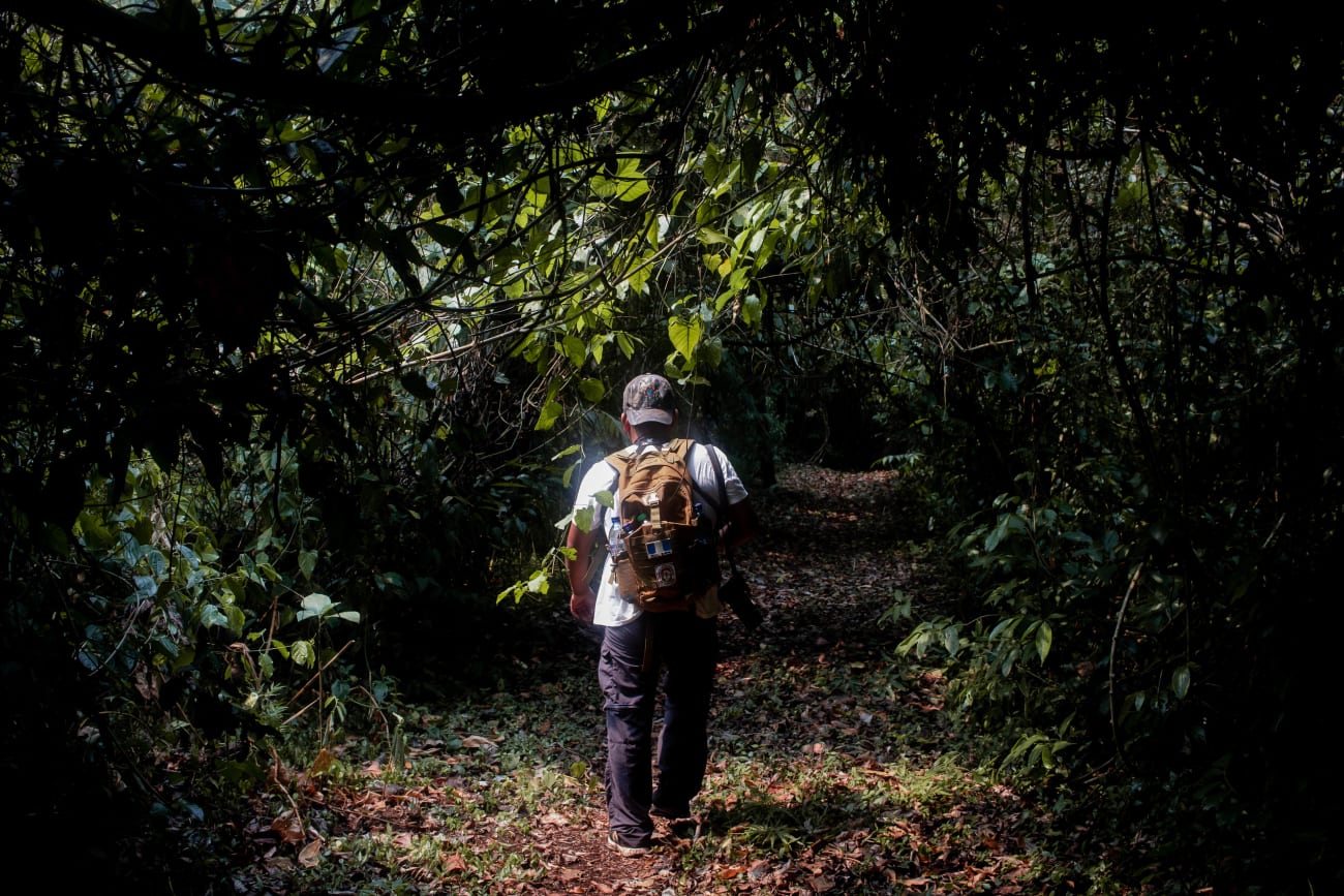 Guatemala's Ecotourism: Migration Stopgap Meets Sustainability Vision