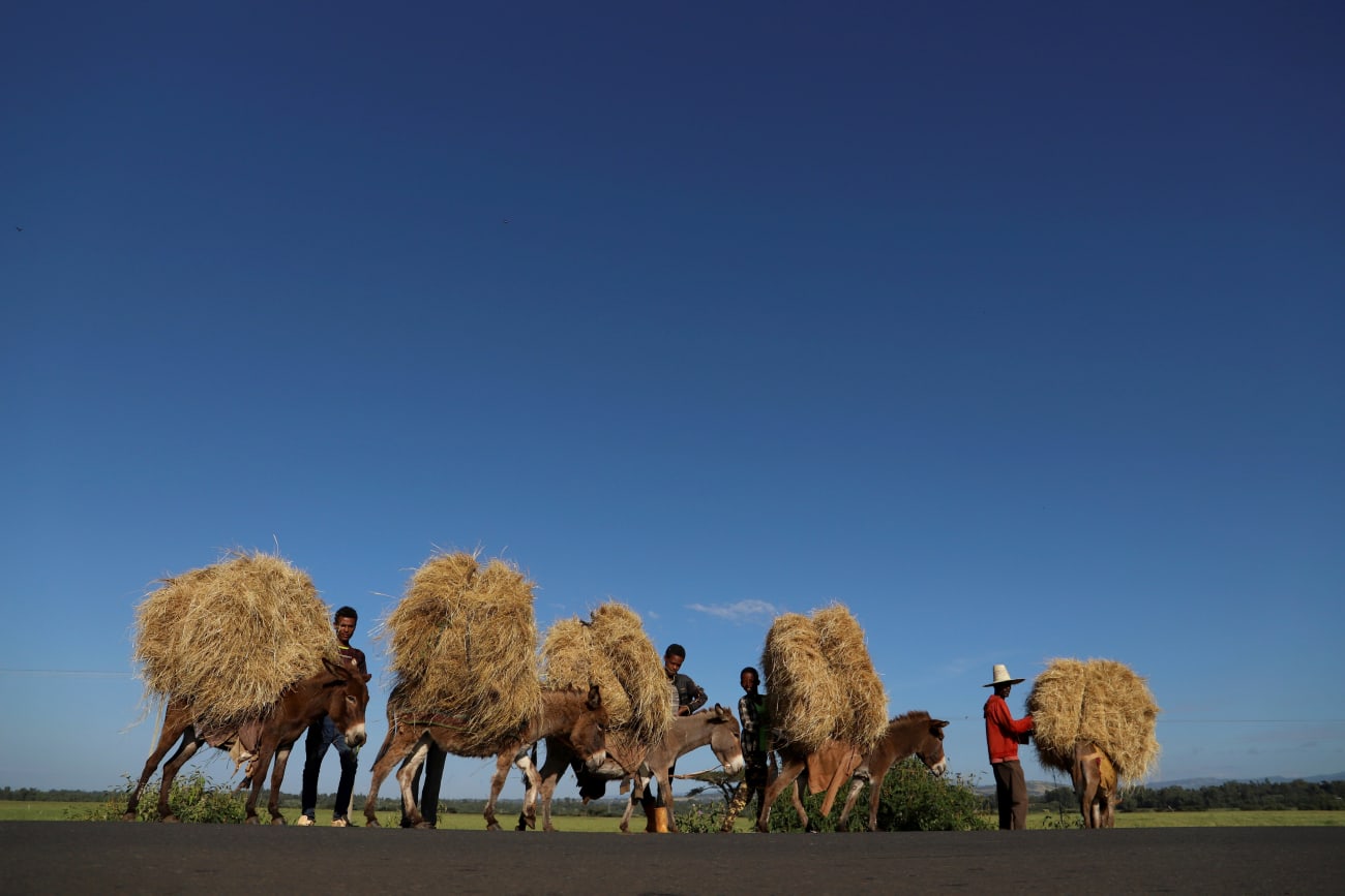 Nutrition for Growth: A Crossroads for Ethiopia's Healthy Future