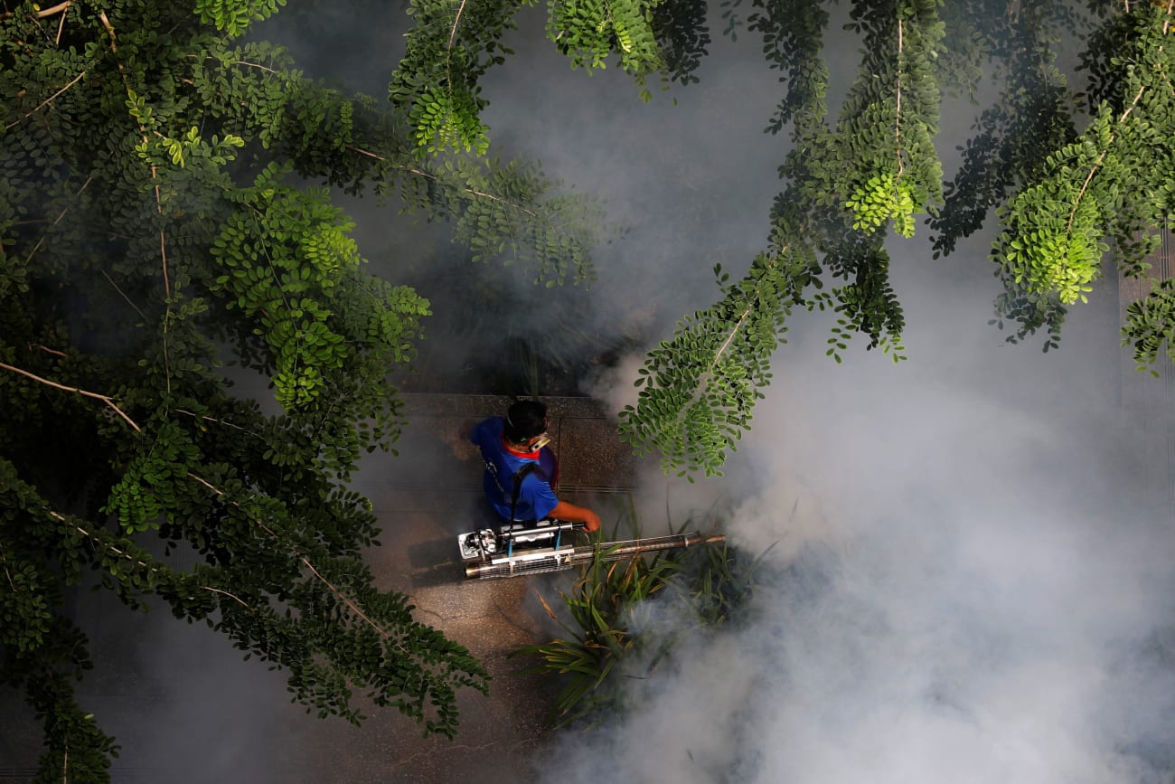 Eliminating Malaria in ASEAN: Lessons From Egypt
