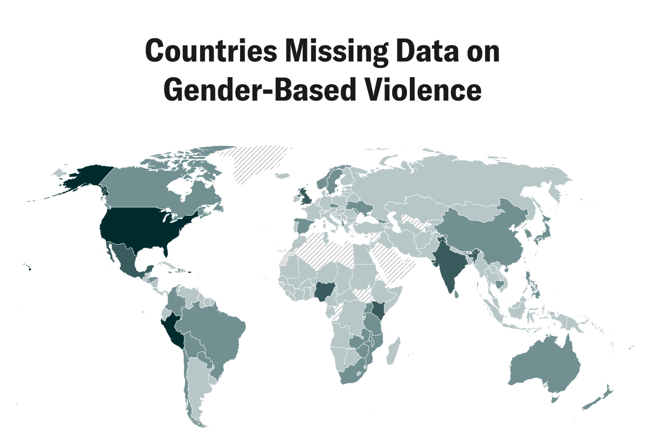 Using AI to Track Gender-Based Violence