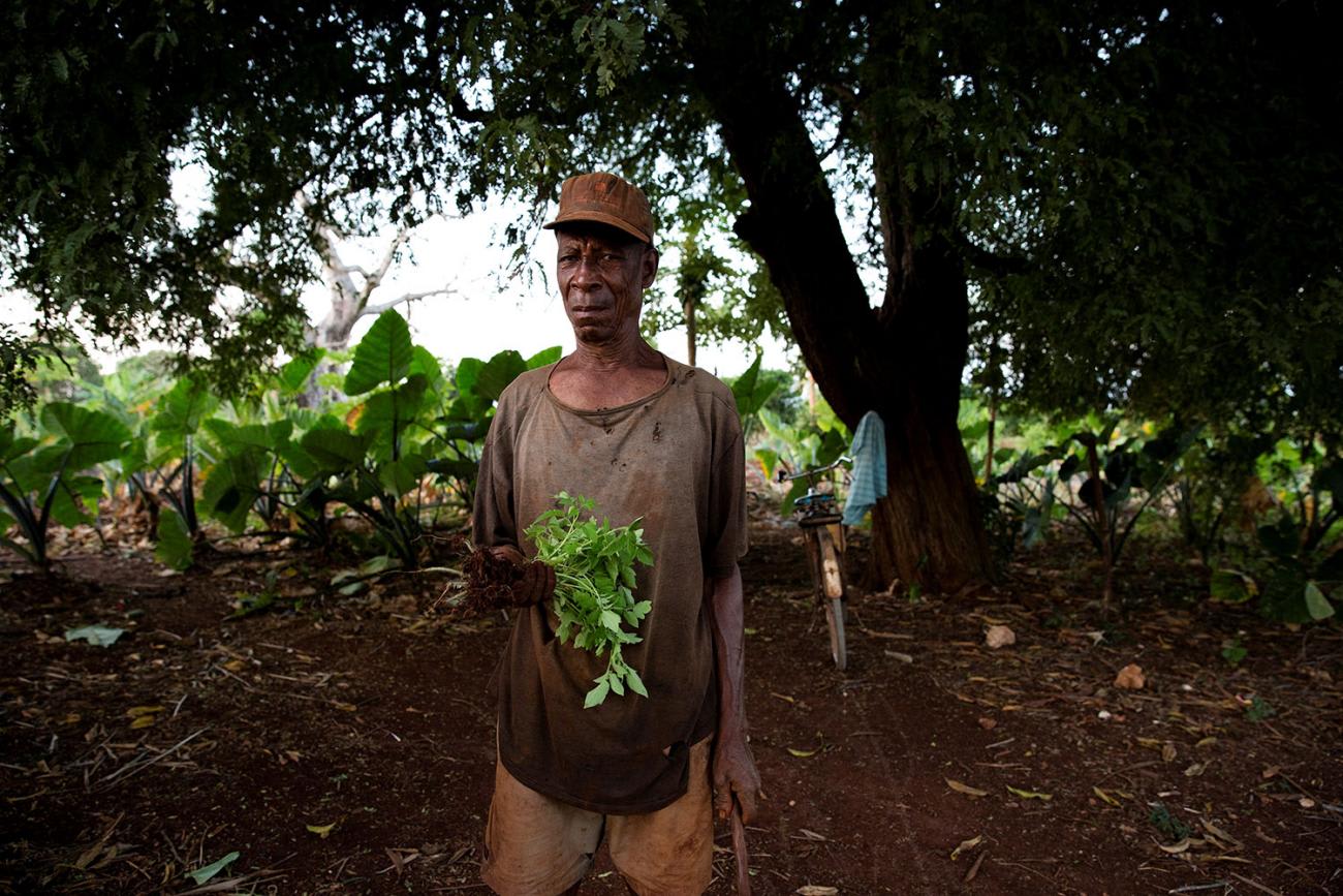 The photo shows the healer standing under a tree holding a handful of leafy herbs.