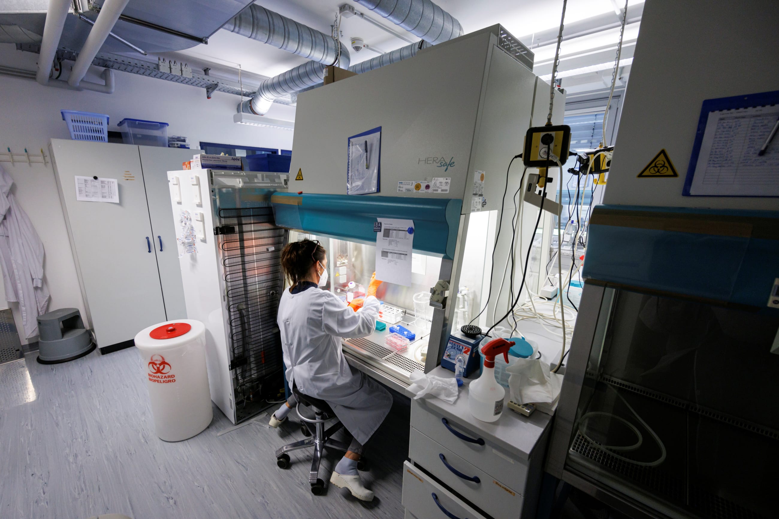 An employee of the vaccine company Bavarian Nordic, which has approval to develop smallpox vaccines, works in a laboratory.