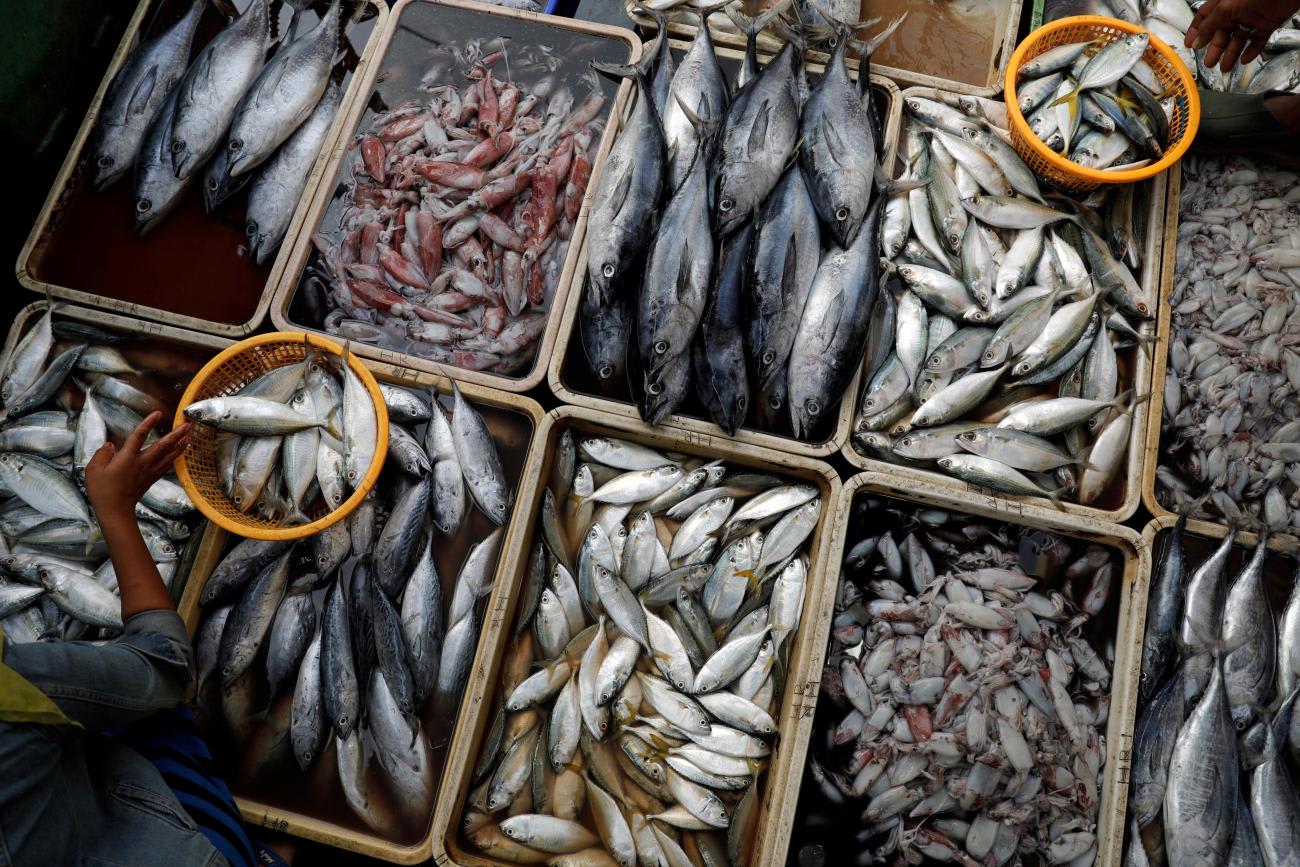 A woman shops for fish at Pabean fish market, in Surabaya, Indonesia, on August 4, 2019.