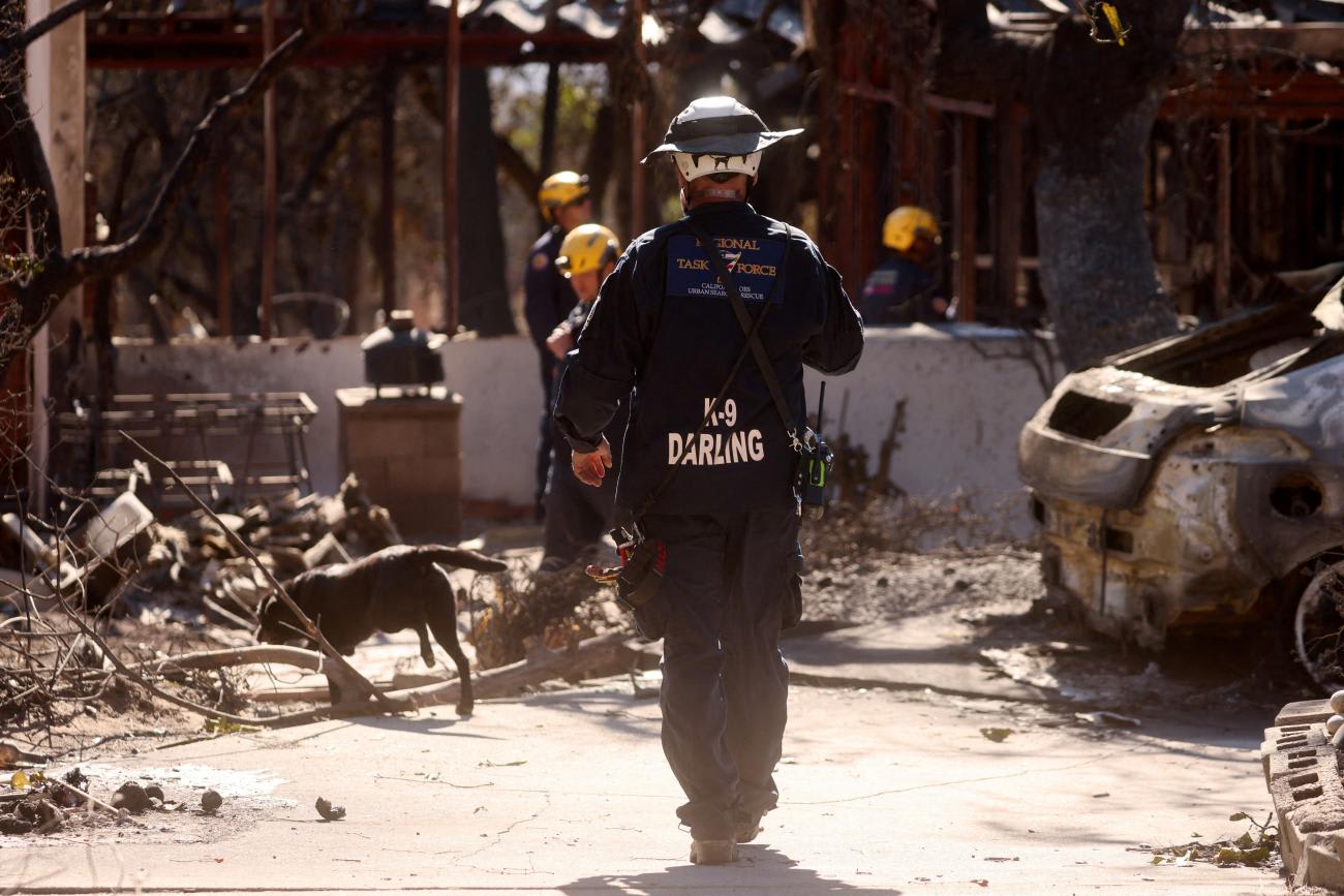 Human recovery dog, Mazie, works with members of the Ventura County Urban Search and Rescue team in an area affected by the Eaton Fire, in Altadena, California, on January 16, 2025.