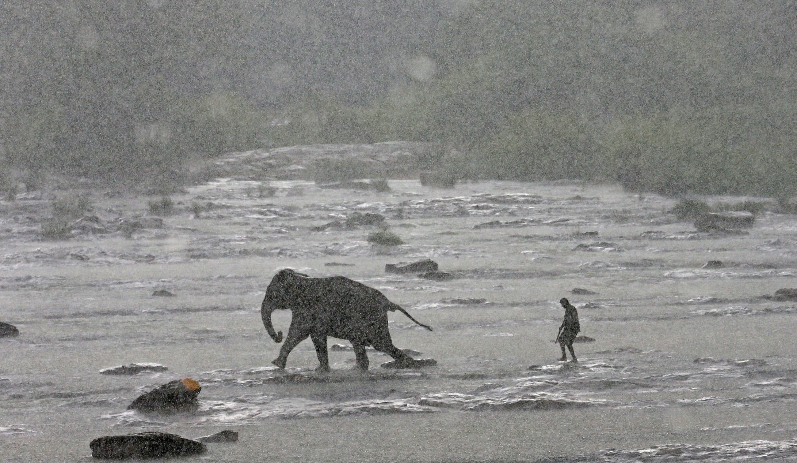 A mahout (an elephant keeper) walks with an elephant during a daily swim in a River at Pinnawal elephant orphanage near Pinnawala village in Rambukkana, Sri Lanka October 5, 2017. 
