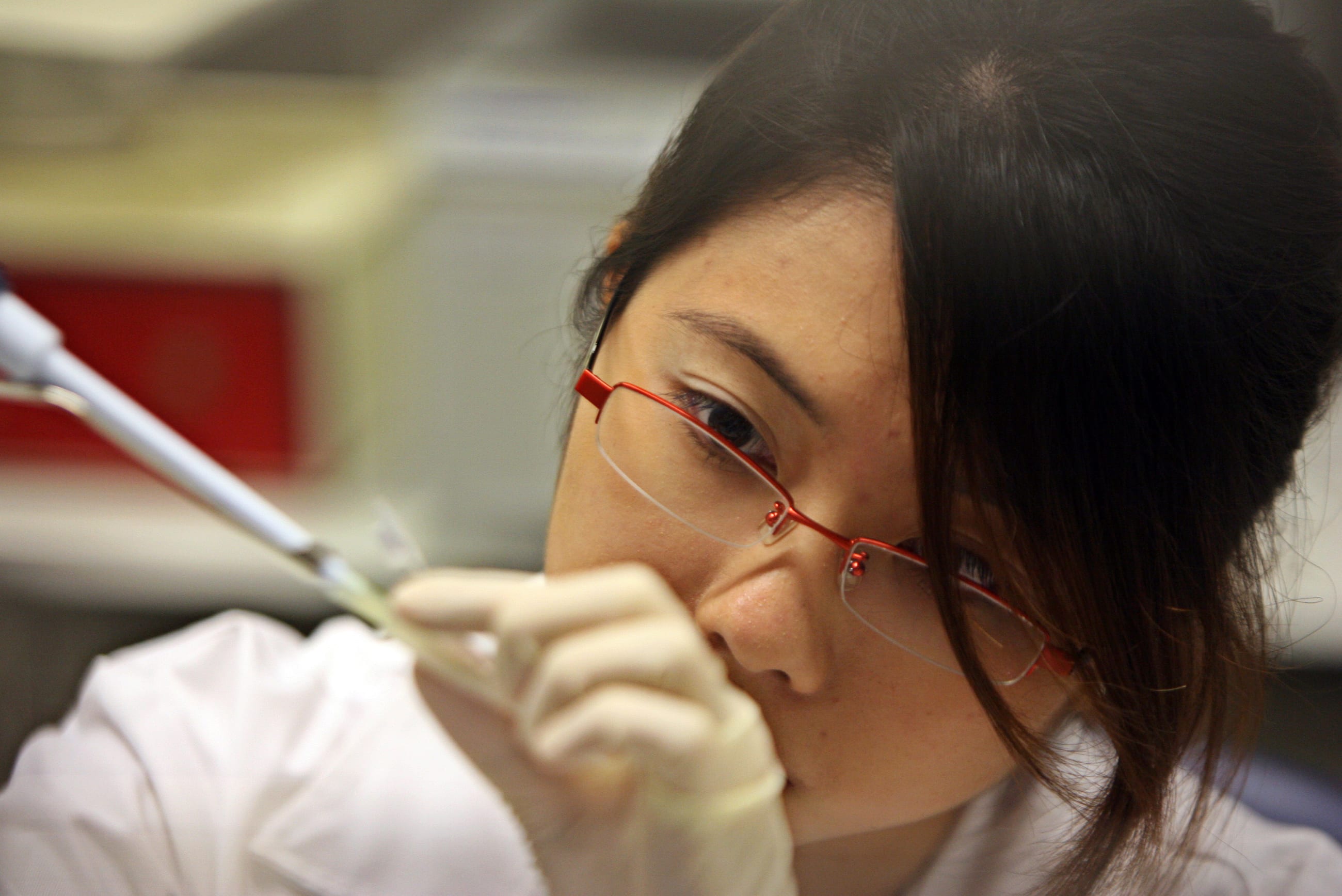 A lab scientist works at the Institute of Molecular and Cell Biology, in Singapore, on December 29, 2005. 