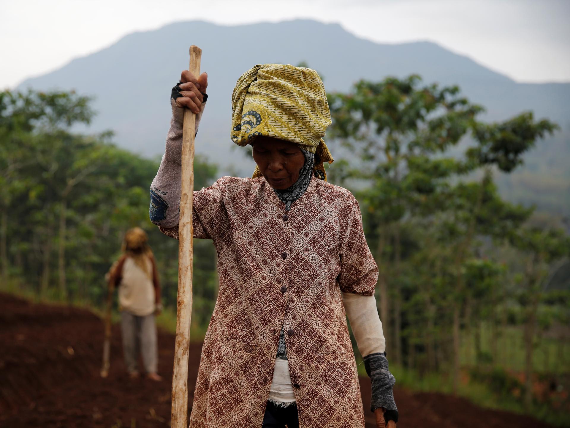 Women workers plant beans, in Majalaya, Indonesia, on October 12, 2017.
