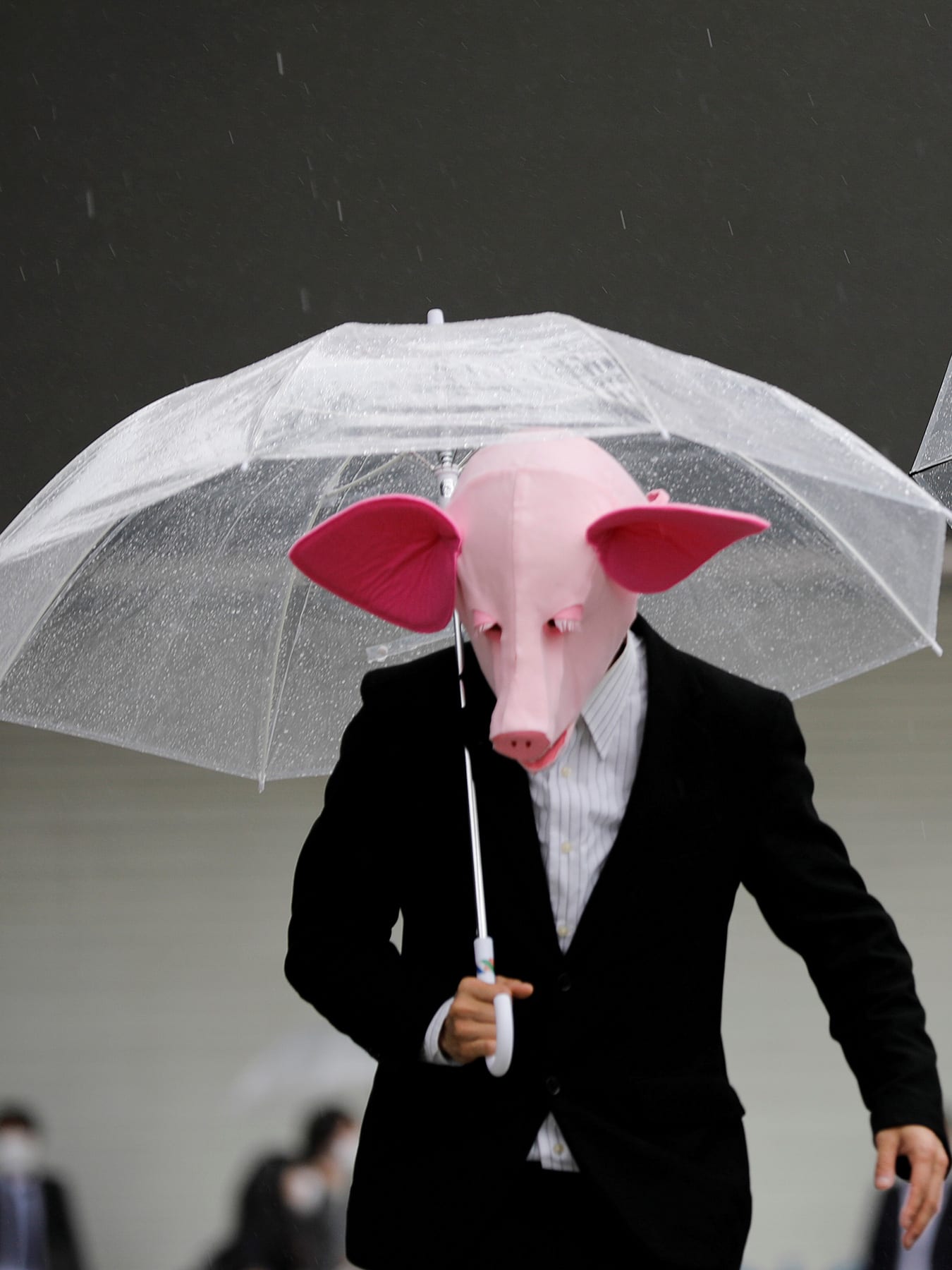 The photo shows two people wearing pig masks and dark suits standing with clear plastic umbrellas open. 