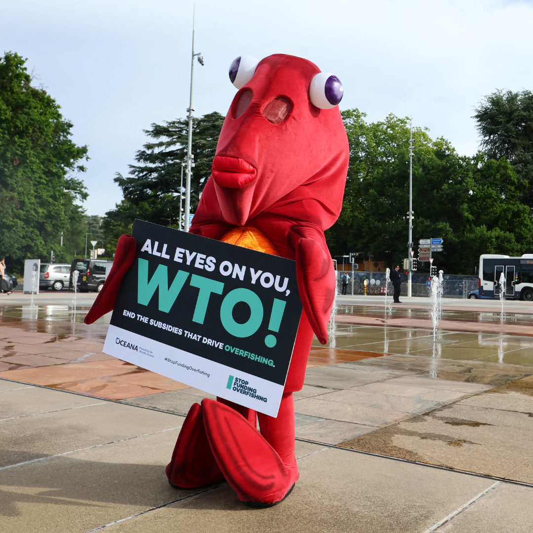 Finley the fish poses during World Ocean Day ahead of the World Trade Organization Ministerial Conference (MC12) protesting harmful fisheries subsidies, in Geneva, Switzerland, on June 8, 2022.