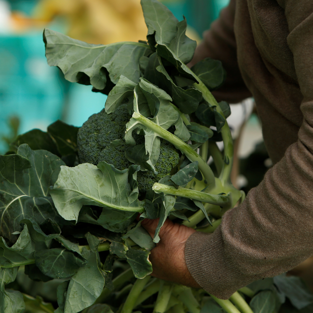 A close-up image of a man's arm in a brown sweater carrying a big armload of leafy broccoli at a farmers market in Ta' Qali, Malta, on February 6, 2018.