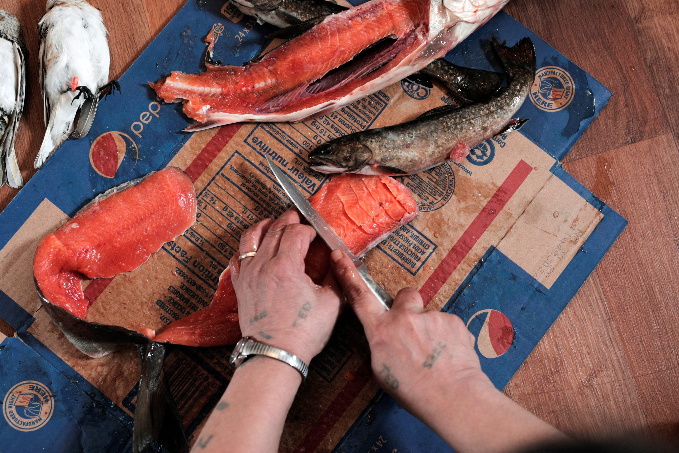 Katie Winters, 54, scores Arctic char to make pitsik (dried fish), at her home in Nain, Newfoundland and Labrador, Canada, on April 20, 2022.