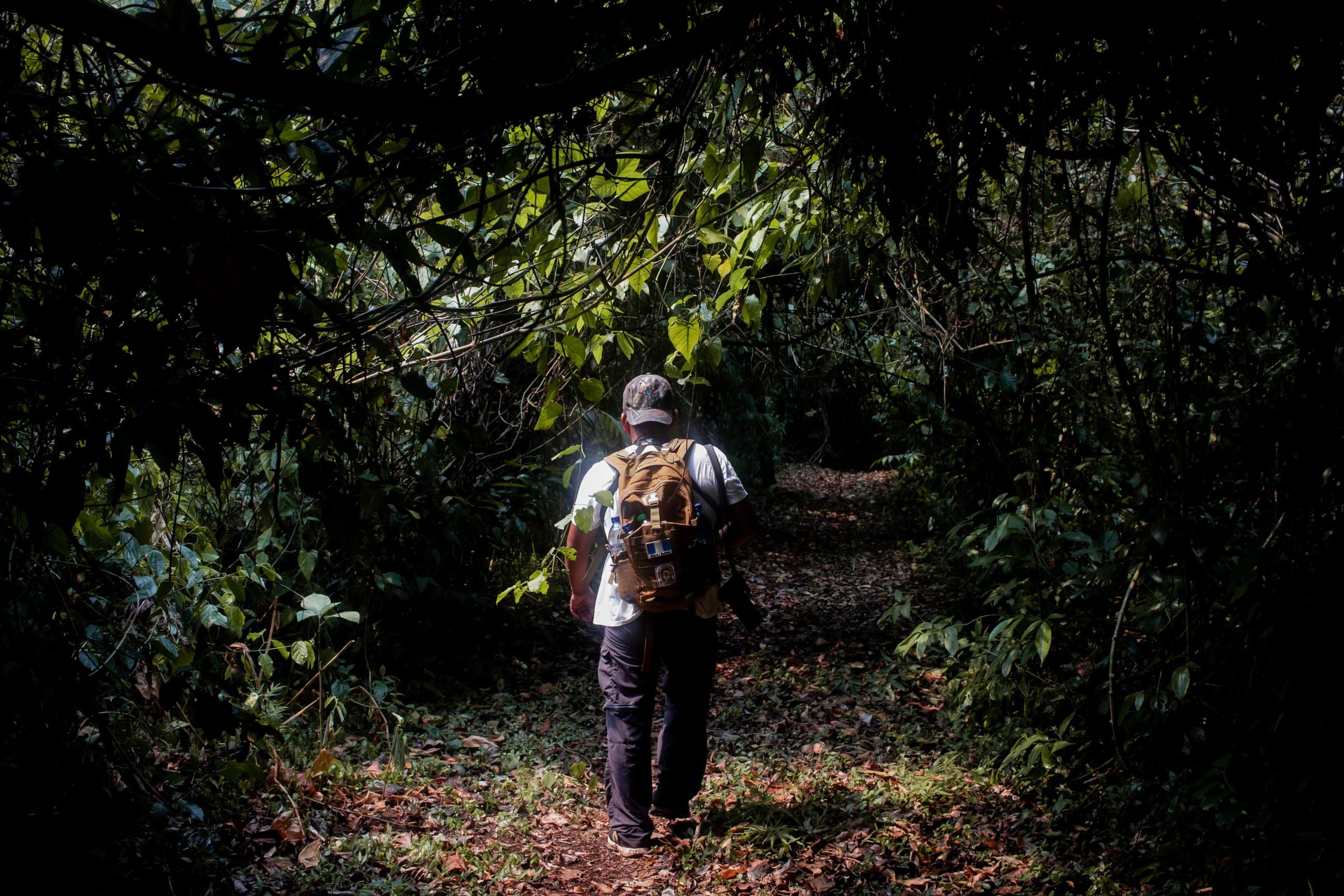 A community member and tour guide that promotes ecotourism walks through the rainforest