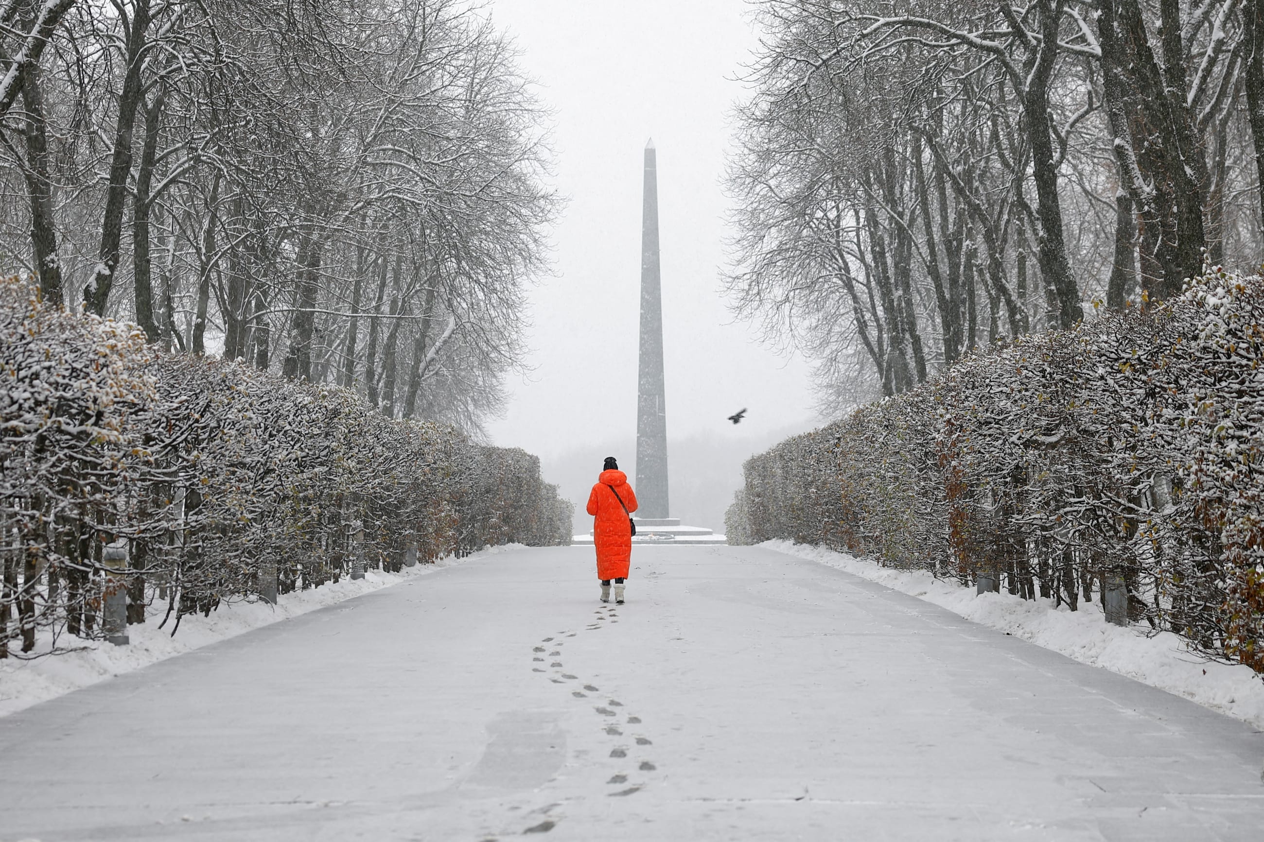 A woman walks in a snow covered park during a first snowfall, amid Russia's attack in Ukraine, in Kyiv, Ukraine November 22, 2023. 