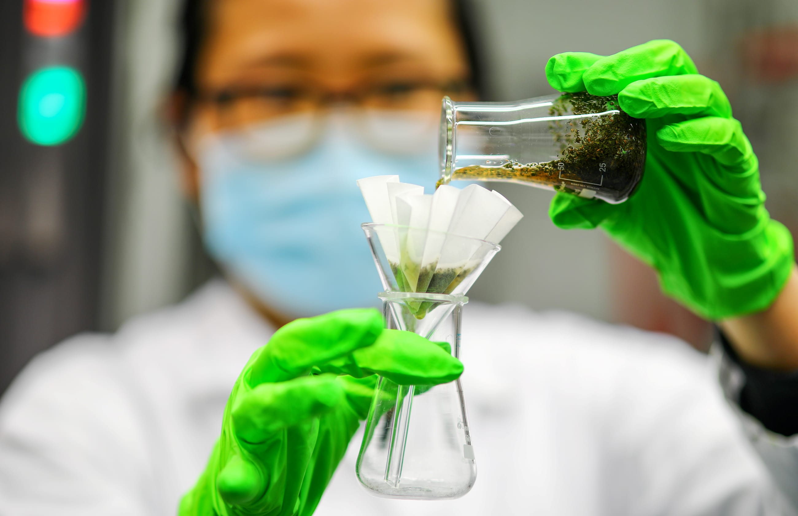 An employee of the Max Planck Institute of Colloids and Interfaces prepares to test Artemisia annua plant extract and artemisinin derivatives in a laboratory, in Potsdam, Germany, on October 15, 2020.