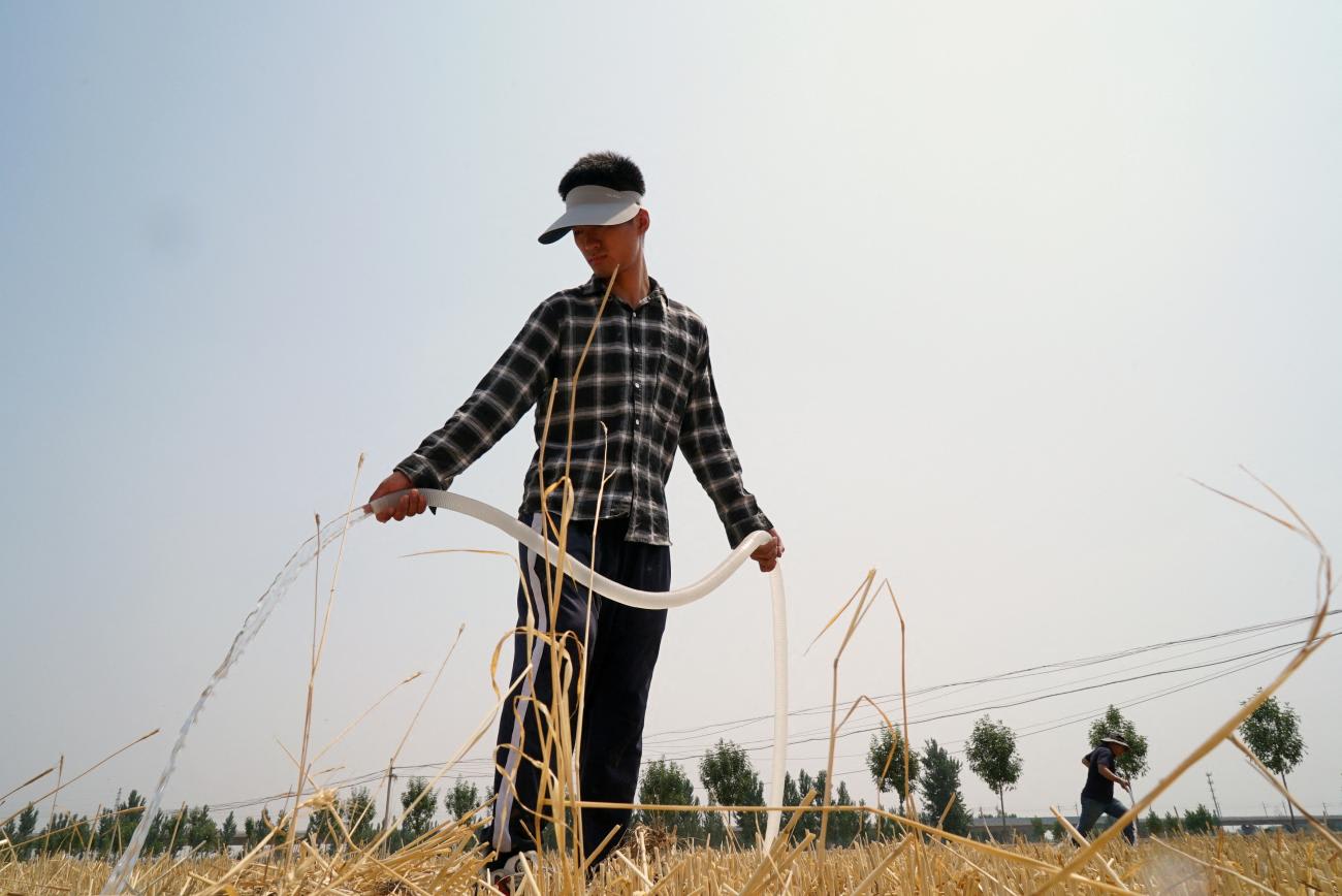 A farmer waters a field of newly planted corn, amid an orange alert for&nbsp;heatwave&nbsp;in the drought-hit region, in Jinan, Shandong province, China, on June 20, 2024.