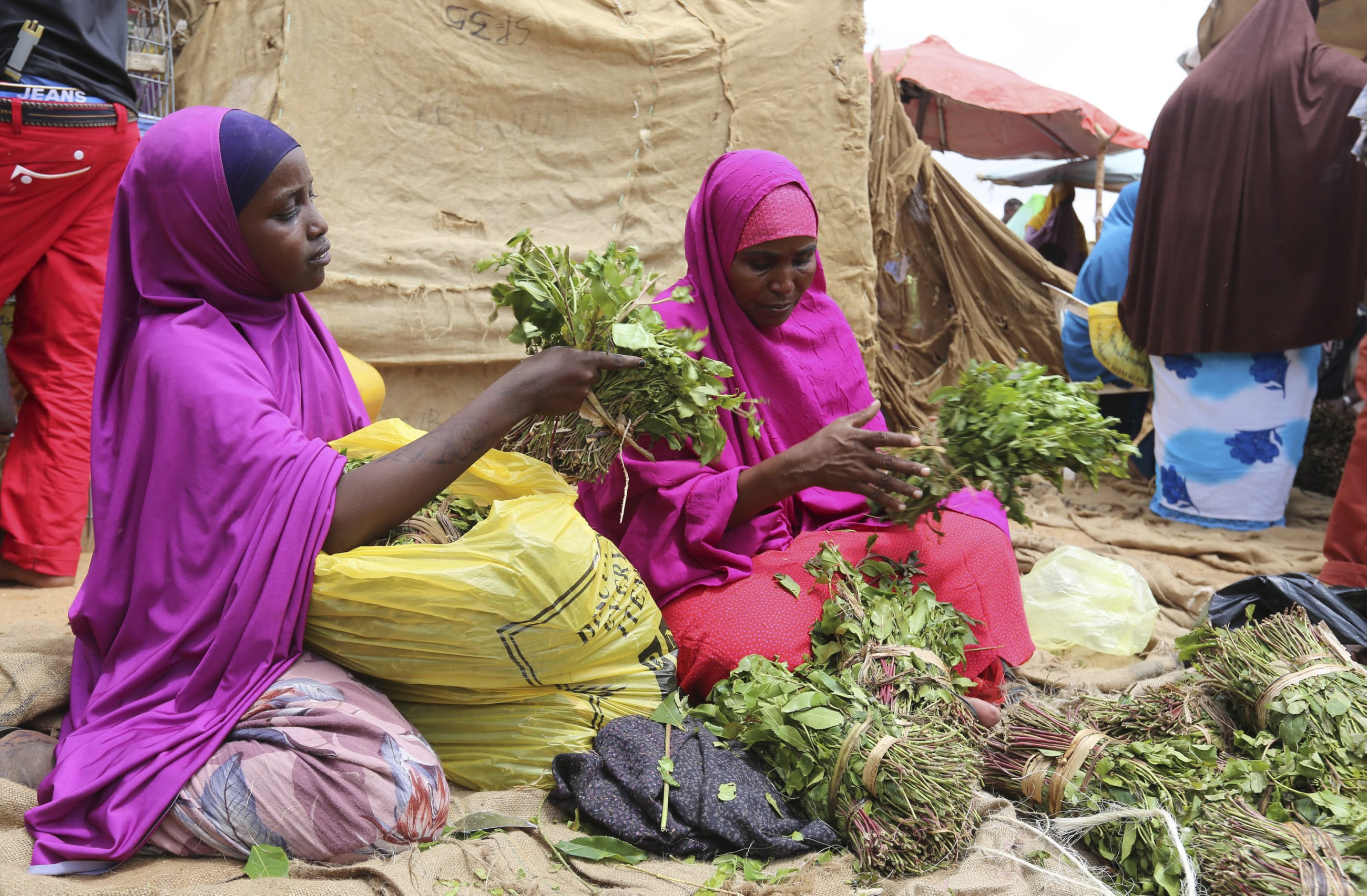 A woman and her daughter arrange branches of khat into small bundles, in Mogadishu, Somalia, on August 9, 2014.