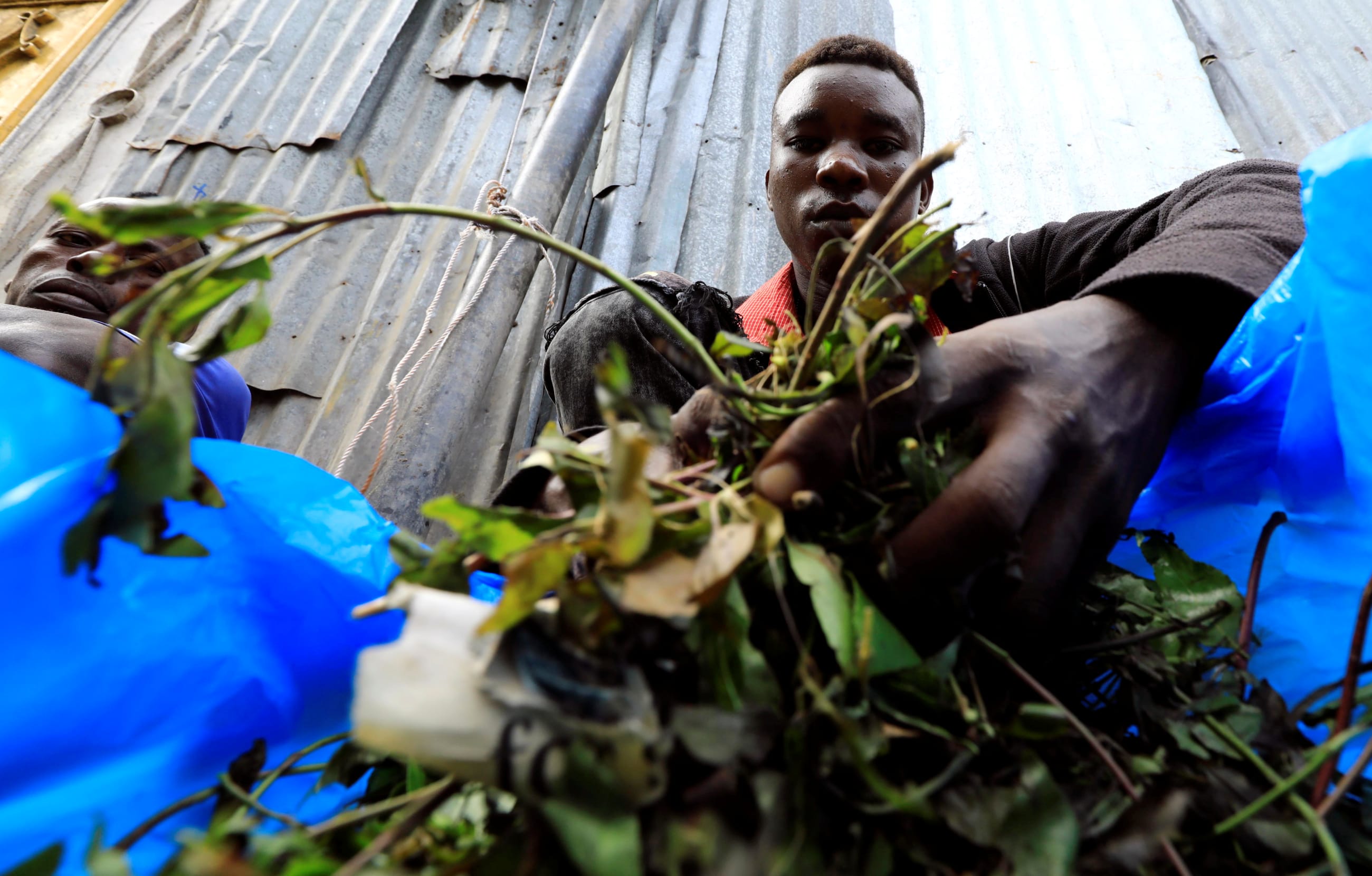 A man samples khat stimulant leaves at an open air market, in Mogadishu, Somalia, on June 22, 2020. 