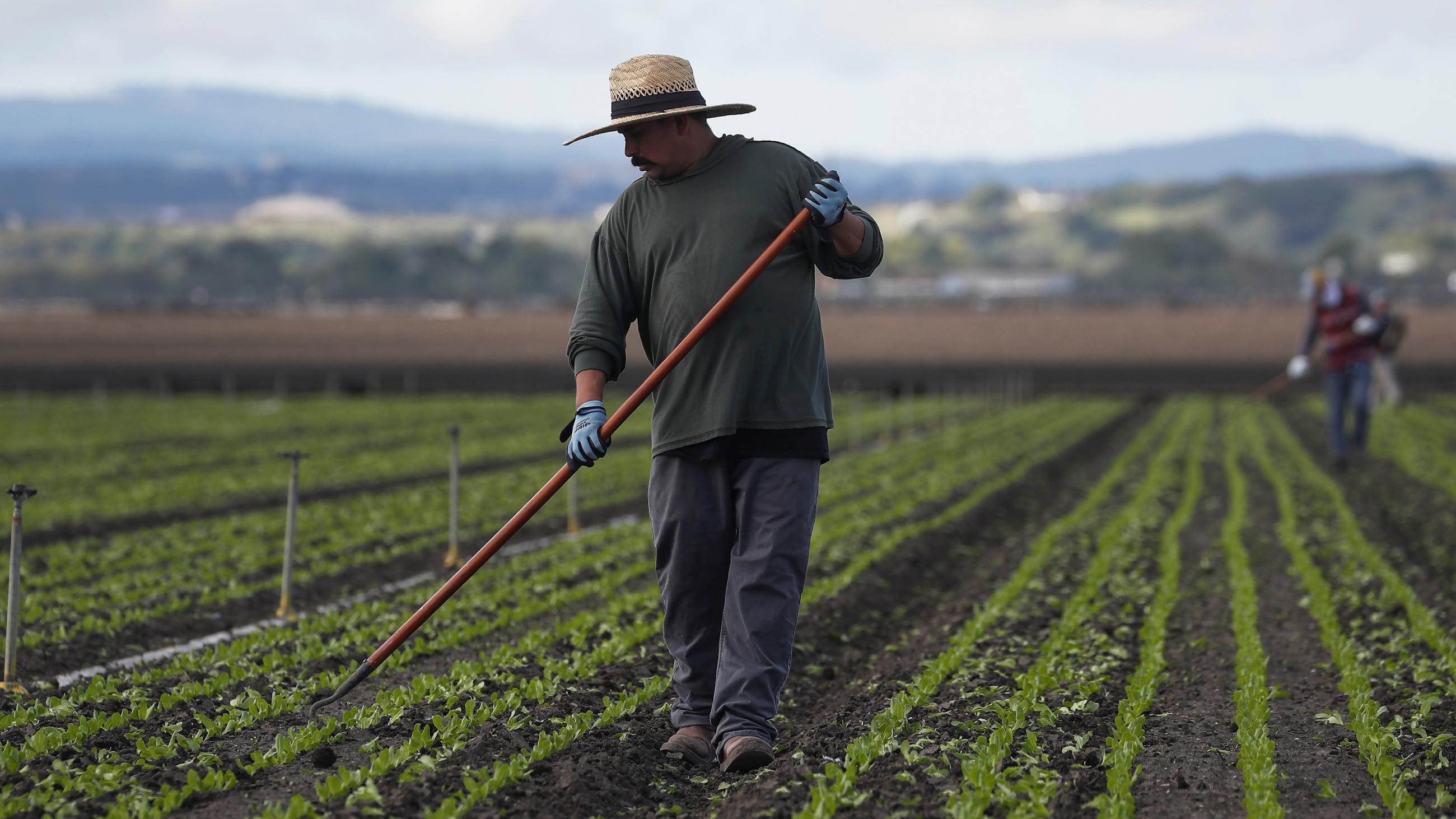 Picture shows Cesar working with a hoe in his hand.