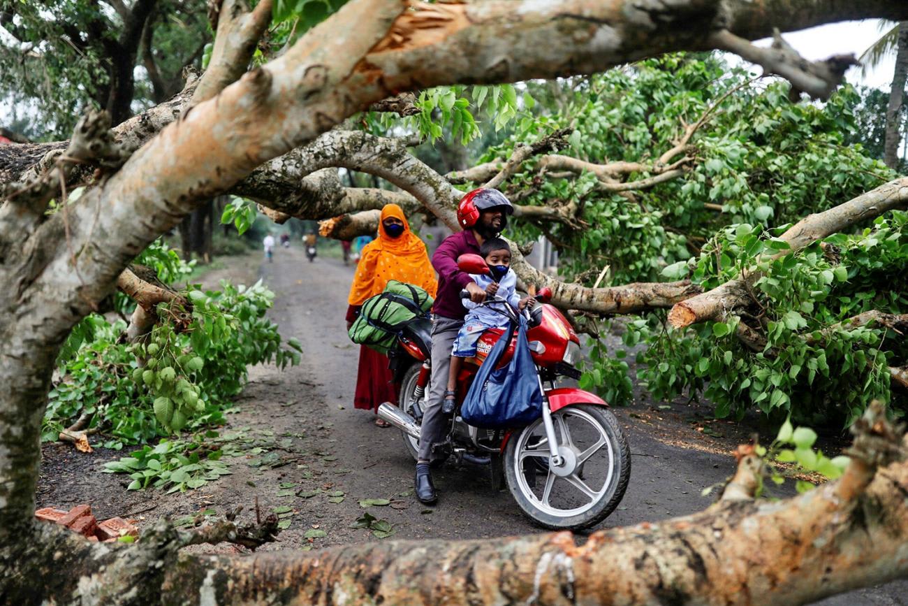 The photo shows the man and child trying to navigate a street fouled with the thick branches of downed trees.