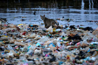 Indonesia and plastic waste