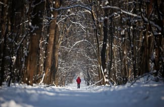 Global Life Expectancy Declines for First Time in 30 Years