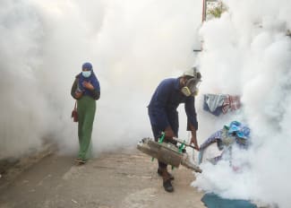 Why Nations Need to Prepare for Climate-Fueled Dengue