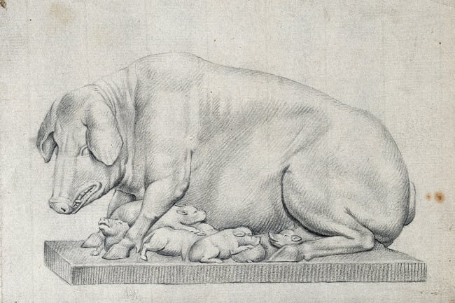 A statue of a hog with litter of suckling piglets. Pencil drawing by William Young Ottley (1771-1836). The picture is of a pencil drawing of a pig and her pups. CC BY 4.0 via Wellcome Collection