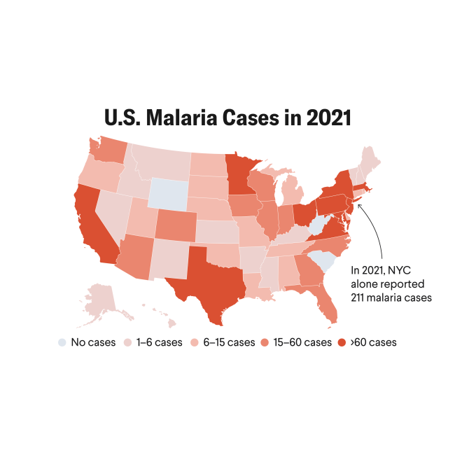A U.S. Response to Mosquito-Borne Disease Outbreaks