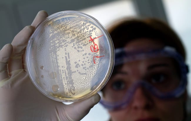 The United Nations Must Ensure Sustainable Access to Effective Antibiotics