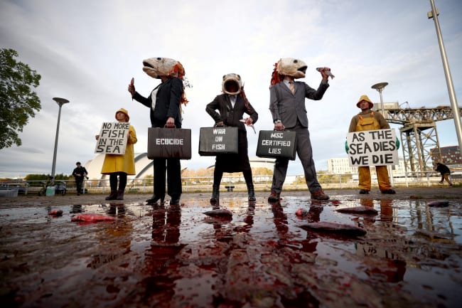 Scenes From COP26