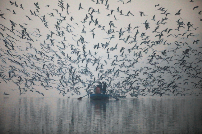 India's Pollution Problem