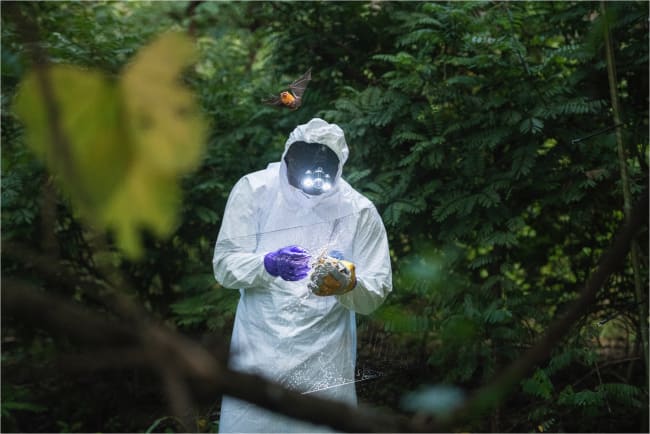 Eyes on Disease X: Ranking the Next Pandemic