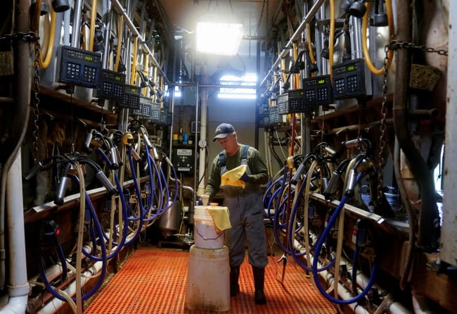 Bird Flu, U.S. Cows, and Economic Consequences