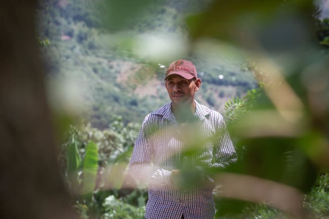 A Mayan Farming Technique to Fight Guatemala's Food Insecurity