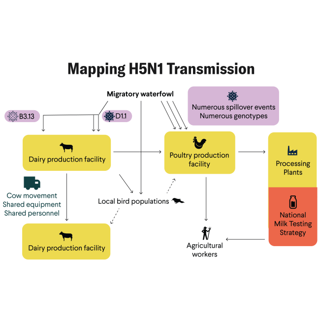Time to Act on New Bird Flu Spillovers