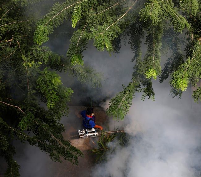 Eliminating Malaria in ASEAN: Lessons From Egypt
