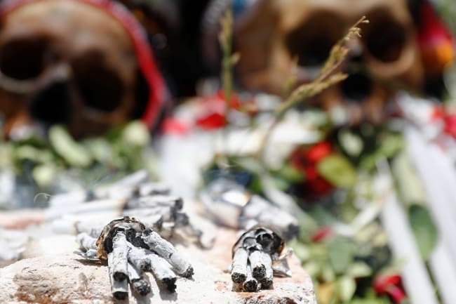 Cigarette butts are seen in front of exhibited skulls during the Day of Skulls celebrations in La Paz, Bolivia November 8, 2019. The photo shows two human skulls laid out with flowers in a ceremonial way with a number of burned cigarettes in the foreground. REUTERS/Kai Pfaffenbach