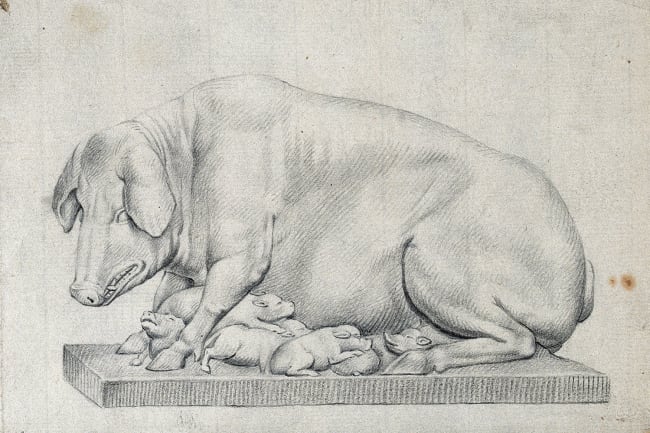 A statue of a hog with litter of suckling piglets. Pencil drawing by William Young Ottley (1771-1836). The picture is of a pencil drawing of a pig and her pups. CC BY 4.0 via Wellcome Collection