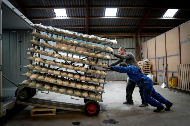 People push a cart with culled mink at the farm of Henrik Nordgaard Hansen and Ann-Mona Kulsoe Larsen near Naestved, Denmark, November 6, 2020.