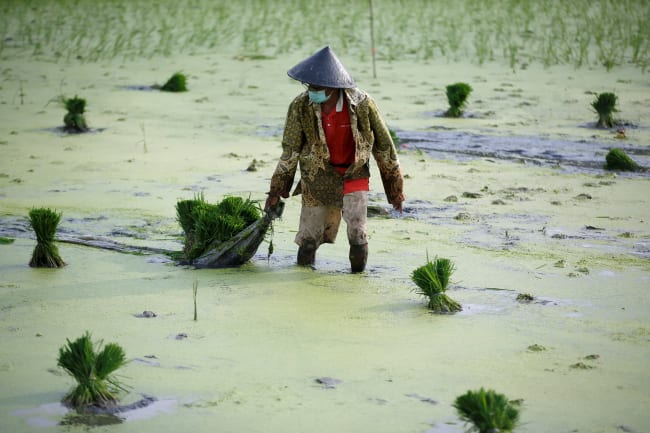 Indonesia&#039;s Foreign Policy and the COVID-19 Pandemic