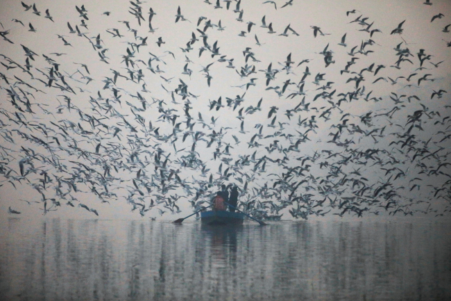 India&#039;s Pollution Problem
