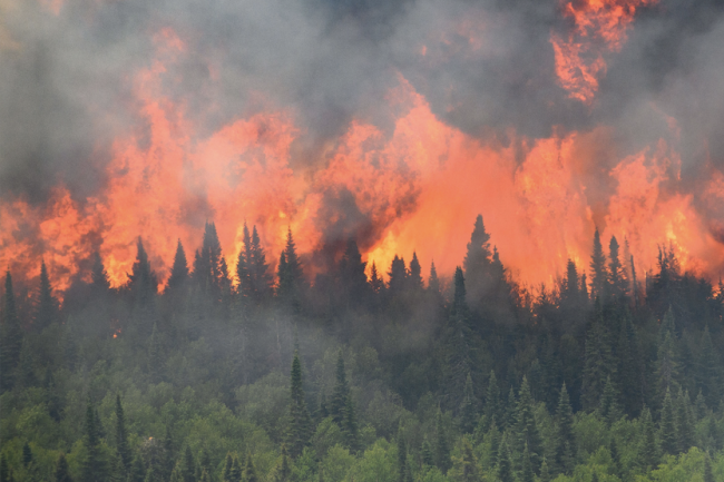 Connecting the Dots Between Climate and Air Quality